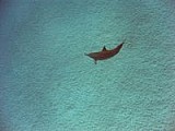 CRW_3844.jpg
