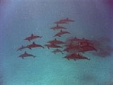 CRW_3846.jpg