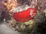CRW_3878.jpg