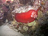 CRW_3879.jpg
