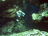 CRW_3903.jpg