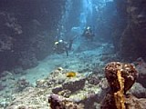 CRW_3928.jpg