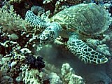 CRW_3977.jpg