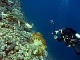 CRW_3987.jpg