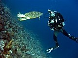CRW_3990.jpg