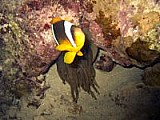 CRW_4032.jpg