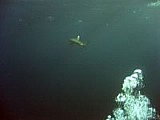 CRW_4060.jpg