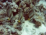 CRW_4130.jpg