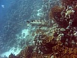CRW_4137.jpg