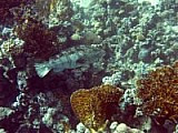 CRW_4138.jpg