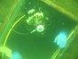 106_0605.JPG